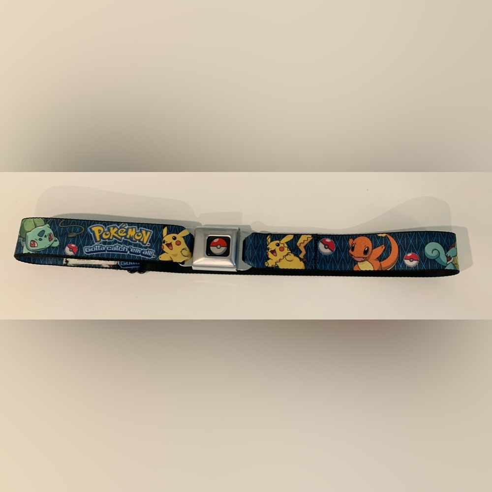 Pokémon Belt